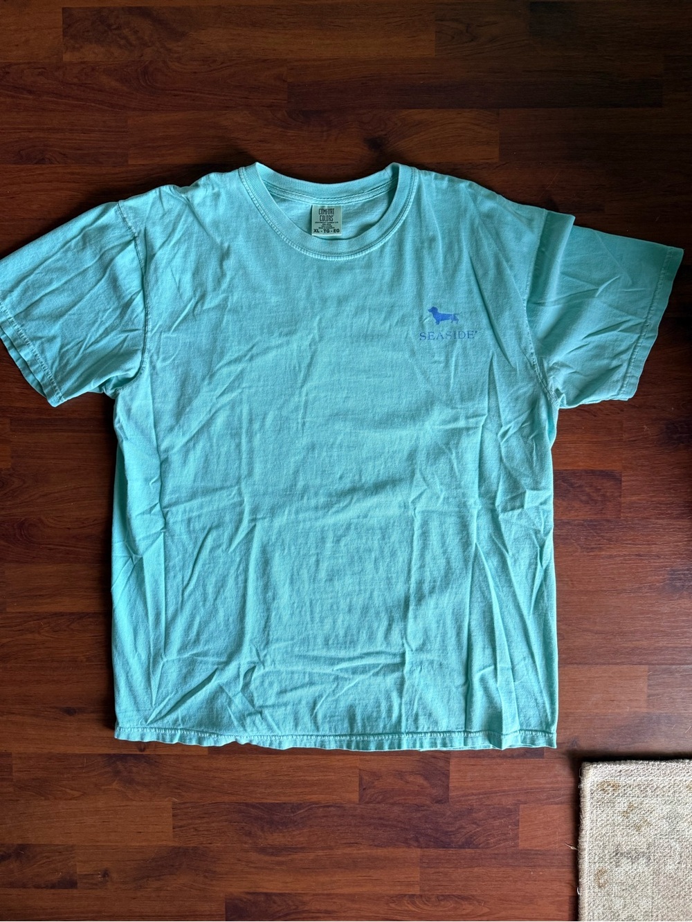 Comfort Colors Seaside Men's Short-Sleeve T-Shirt in Aqua